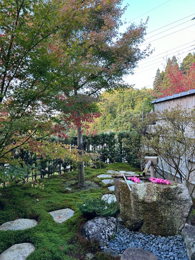【京都】正寿院散策