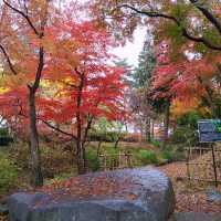 岩手県！盛岡城跡公園で紅葉狩り