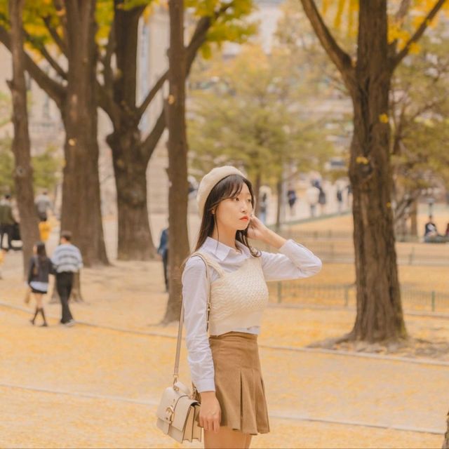 💛노란 은행나무와 덕수궁 석조전의 조화 [서울, 덕수궁]