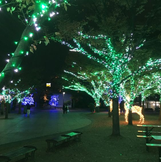 【天神中央公園】クリスマスイルミネーション