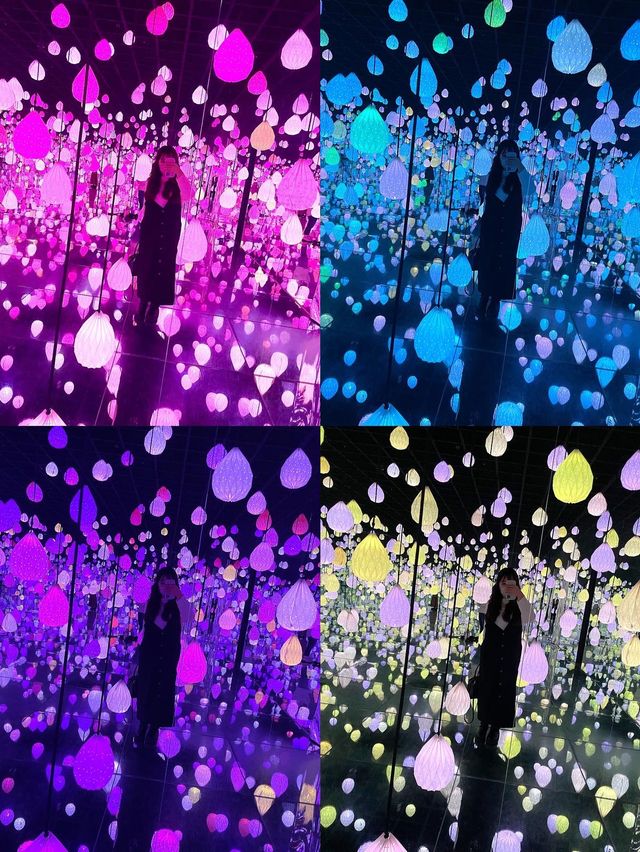 【江原道・江陵】映え写真撮るならここ！アルテミュージアム江陵