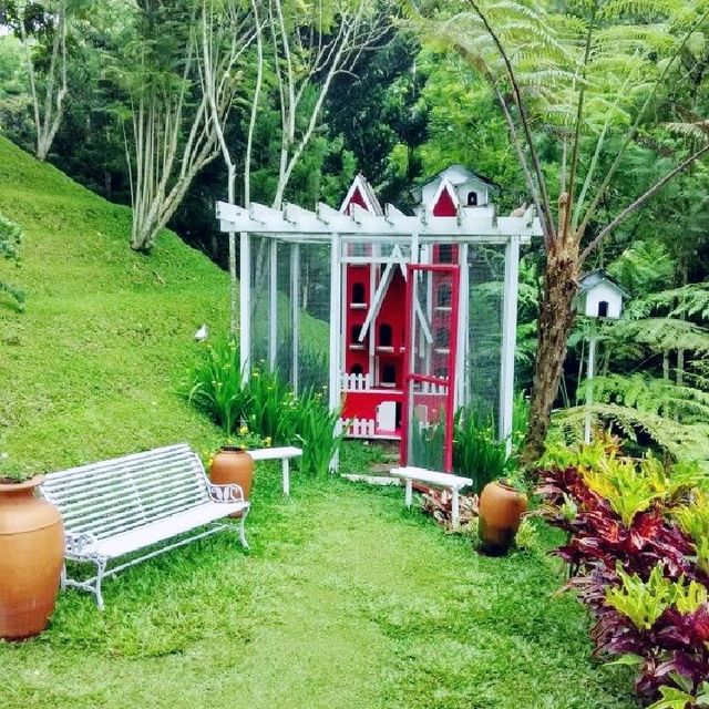 Best hotel in the cliff in bandung