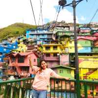 Colorful House