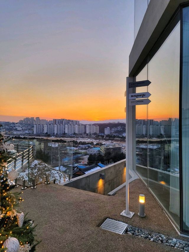 전망좋은 노을맛집, 영주카페 녹스고지☕️