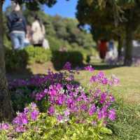 Doi Inthanon National Park