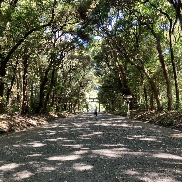 【東京】明治神宮に行ってきました！