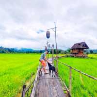 บ้านนอก ฮอกควาย สบายๆ เมืองคอง