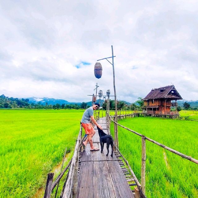 บ้านนอก ฮอกควาย สบายๆ เมืองคอง