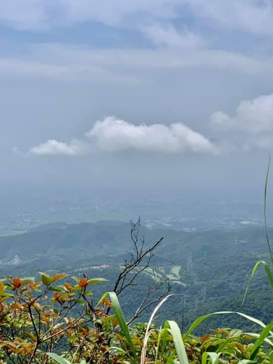 宜蘭礁溪爬山景點｜挑戰紅到國外去的抹茶山🍵⛰️