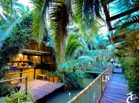 พร้าวหอมคาเฟ่ #คาเฟ่ในสวน