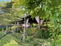 The Riviera Champasak