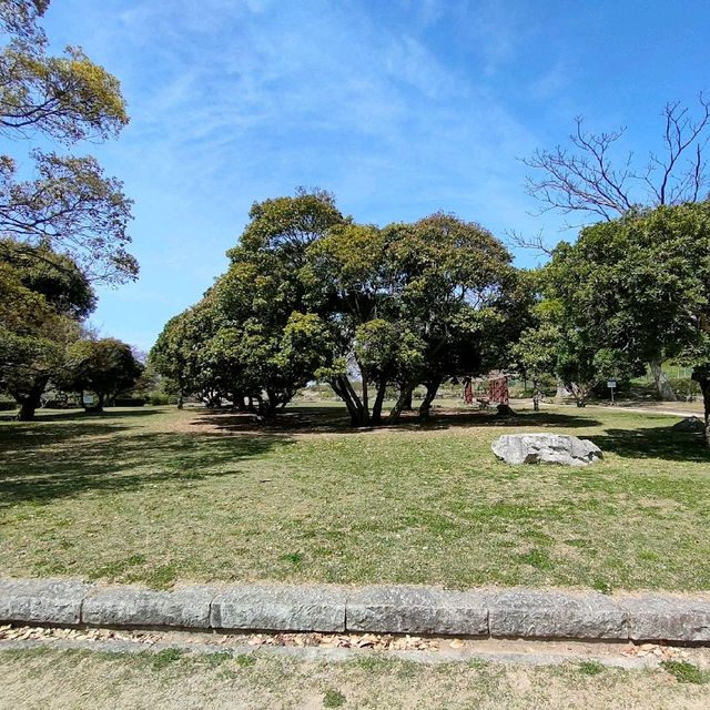 【兵庫 明石城跡展望台】最高の景色を見て✨✨✨