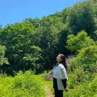 인천에서 꼭 가봐야할 산, 계양산 ⛰