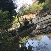 鳥魚花香的休閑公園