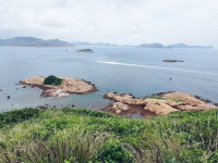 綠蛋島