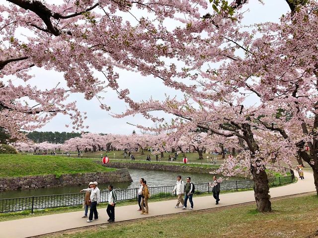 函館超靚五稜郭公園