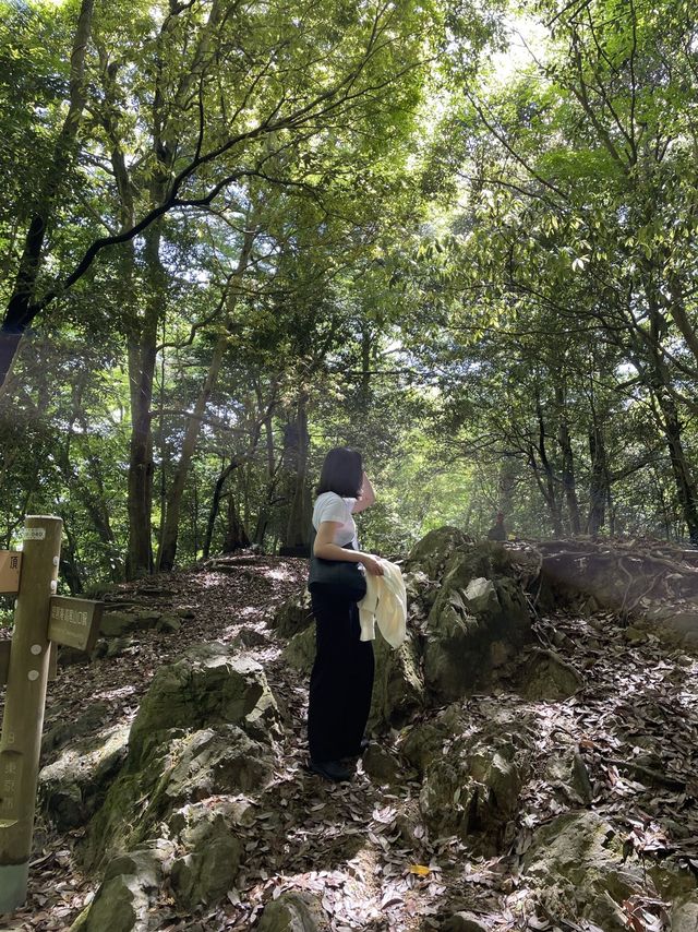 [도쿄] 간단한 등산이 가능한 타카오산
