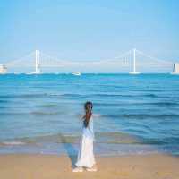 🌊아름다운 푸른바다와 해바라기가 함께하는곳 [부산, 광안리해수욕장/해변공원]🌻