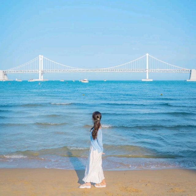 🌊아름다운 푸른바다와 해바라기가 함께하는곳 [부산, 광안리해수욕장/해변공원]🌻