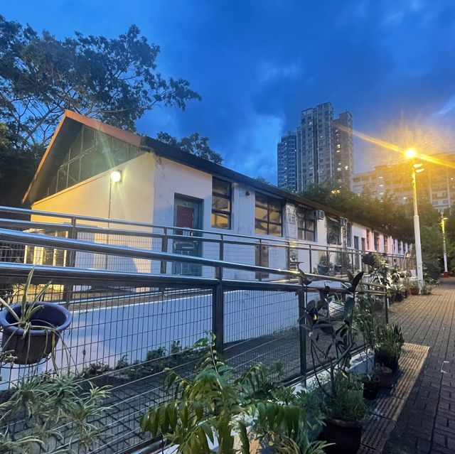 免費夜遊牛棚藝術村