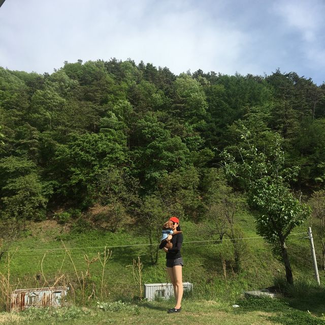 초코랑 함께 떠난 여름 캠핑 at 광덕 계곡 