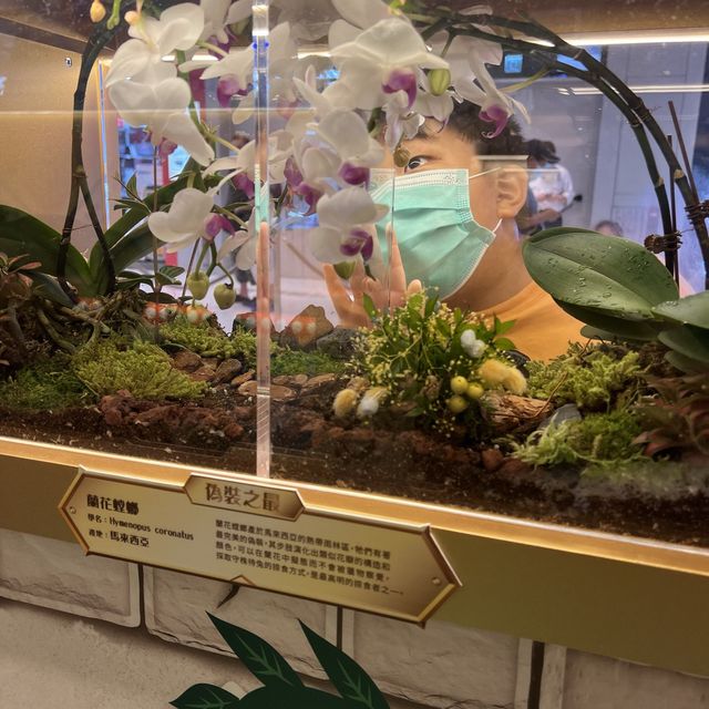 將軍澳中心