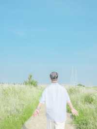 푸릇한 여름을 느낄 수 있는 바다향기 테마파크🌿