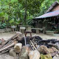 คาเฟ่ธรรมชาติ “ที่นี่บางเบาะ ป่าตอง”