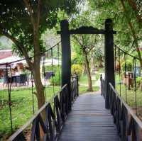 Elephant village 