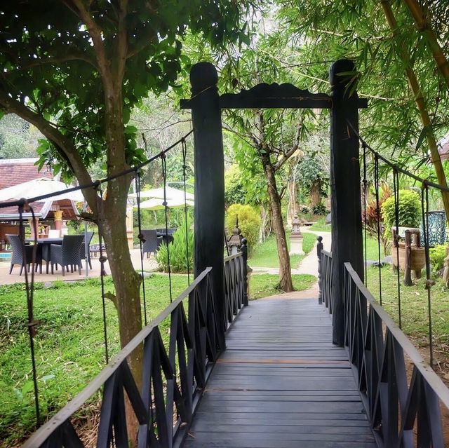Elephant village 