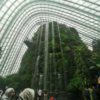 Zen like cloud forest