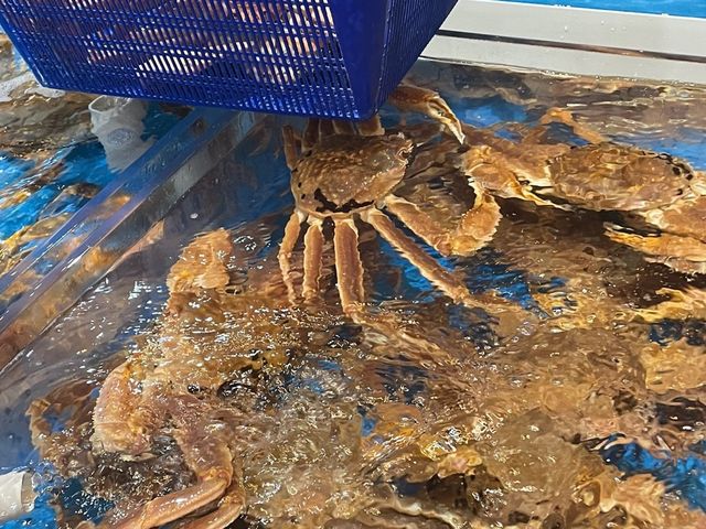 싱싱한 대게가 ! 대게만찬 🦀