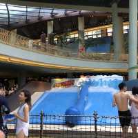 海洋公園水上樂園🏄日落門票$175