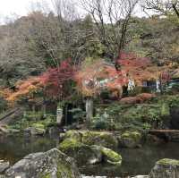 🇯🇵 參觀戰國名將的邸宅 — 岐阜公園及百曲登山道