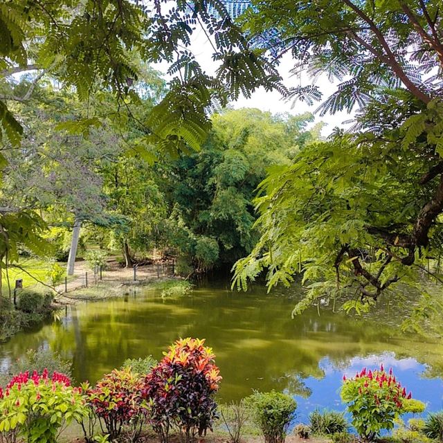 Amazing Garden with so much Greenery. 