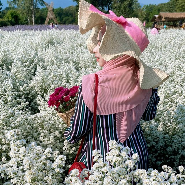 สวนดอกไม้ลุงรน เชียงใหม่