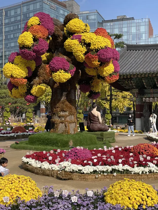 꽃구경도 할 수 있는 도심 속 절, 조계사🌼