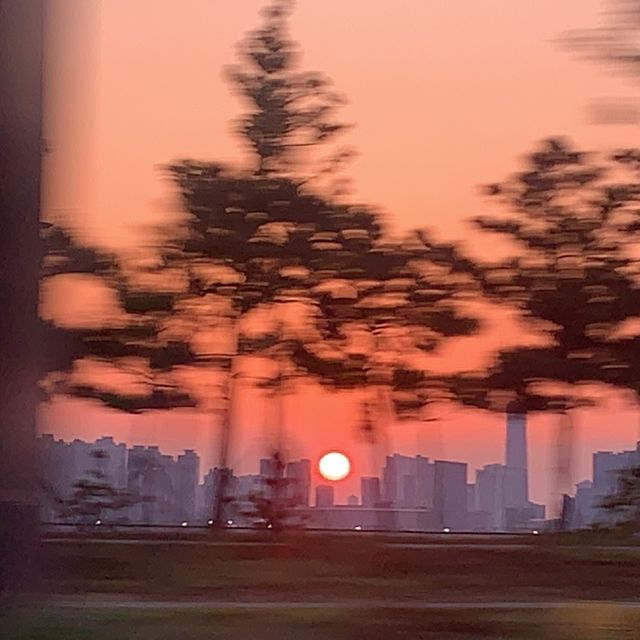 서울 근교에서 황홀한 노을을 볼 수 있는 바다를 찾는다면 시화 나래 휴게소! 