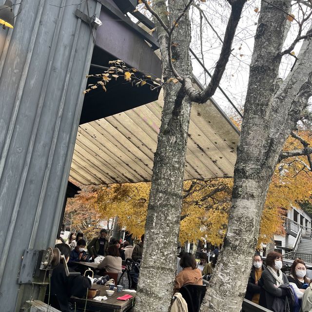 【軽井沢・旧軽銀座】軽井沢でおそばと言えばここ！川上庵！