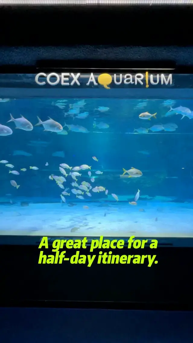 🇰🇷 COEX Aquarium 