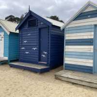 Brighton bathing boxes 