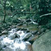 บ้านธารกล่อม นอนฟังเสียงน้ำไหลในอ้อมกอดธรรมชาติ 🌲