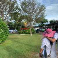 Chill in Camp Holiday