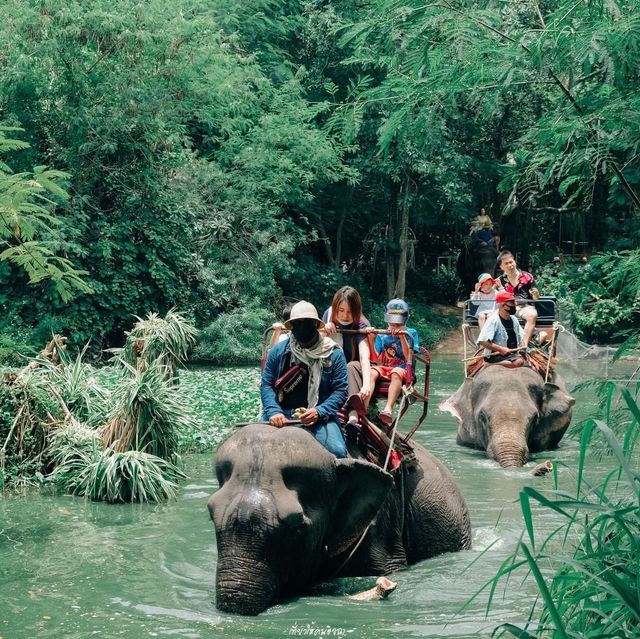 มองช้างคาเฟ่ สไตล์ซาฟารีคาเฟ่ อยู่พัทยานี่เอง