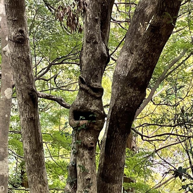 【熊本】天草絶景に出会える公園