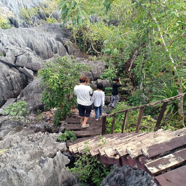 อุทยานแห่งชาติดอยผากลอง 