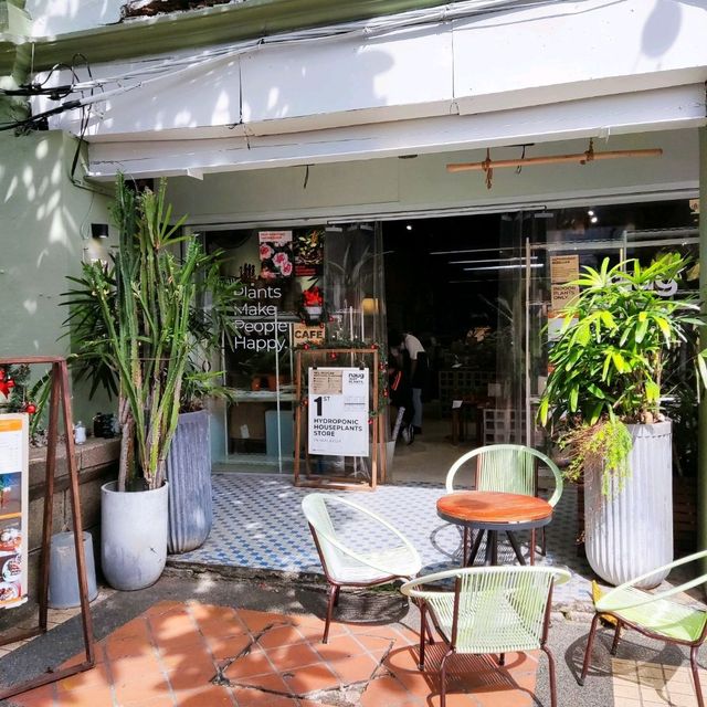 Naug Cafe Plants Make People Happy