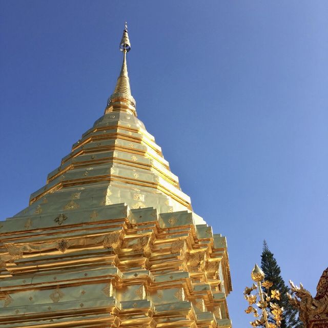 金𤩹輝煌、金光閃閃、真金打造的雙龍寺！