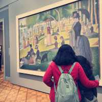 Visit The Art Institute of Chicago 