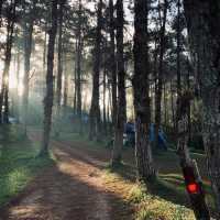 ห้วยน้ำดัง ⛺️🍃🌲หนาวนี้ต้องลอง 